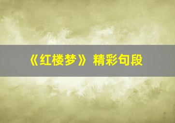 《红楼梦》 精彩句段